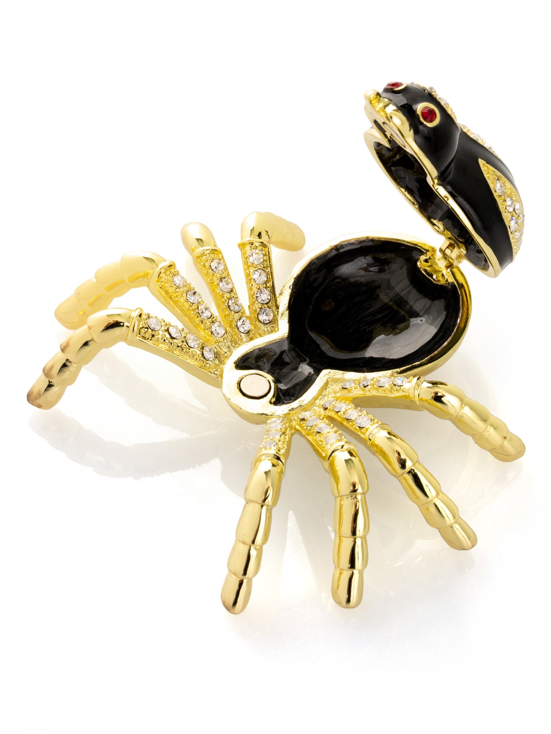 Gold & Black Tarantula Spider-4