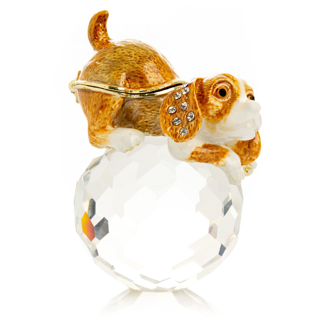 Brown Puppy on Crystal-0