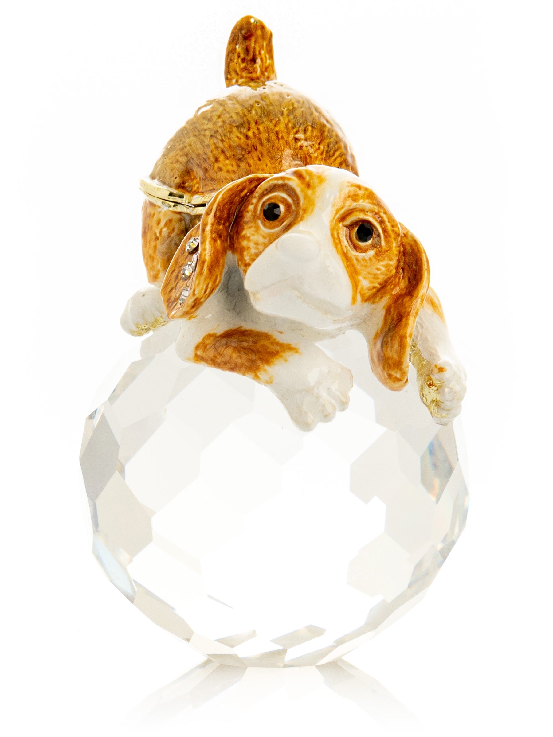 Brown Puppy on Crystal-3