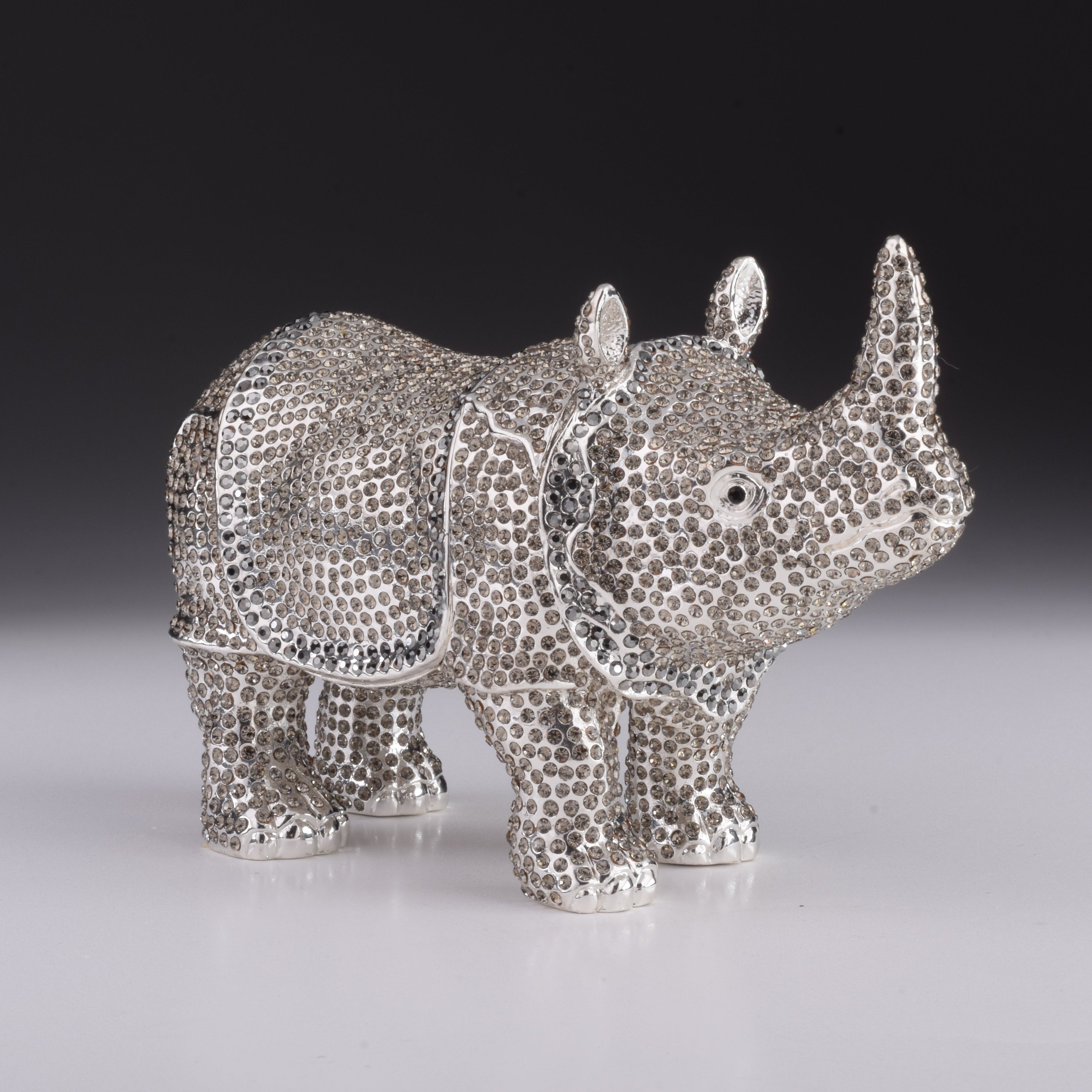 Rhino-0