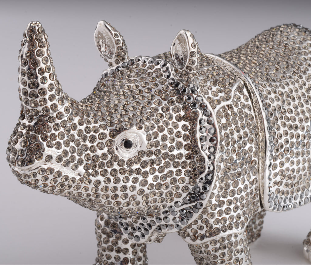 Rhino-1