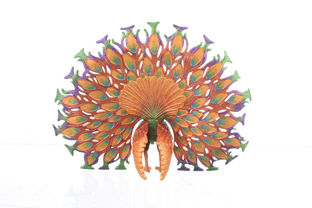 Colorful Peacock-4