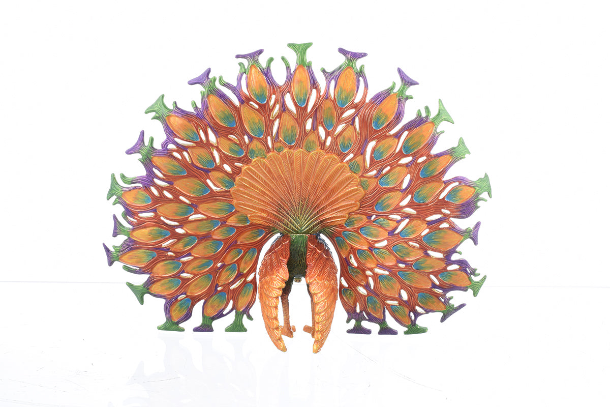 Colorful Peacock-4