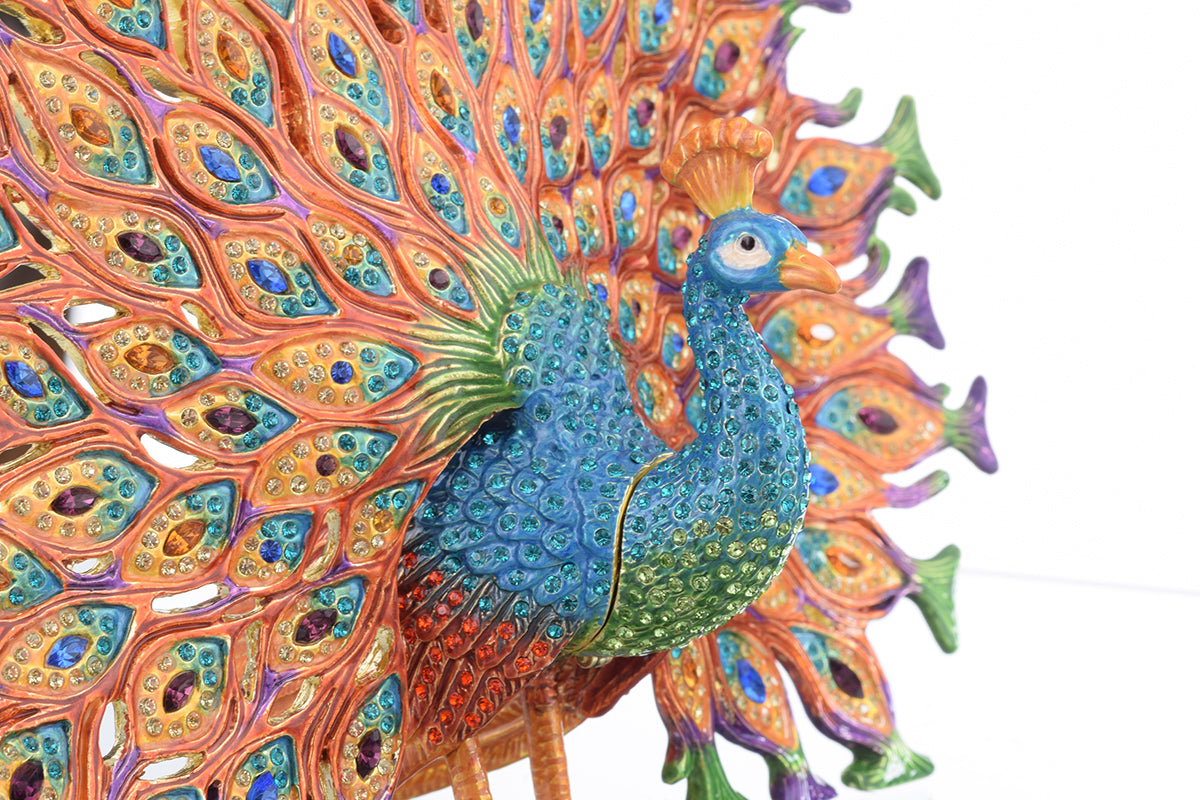 Colorful Peacock-1