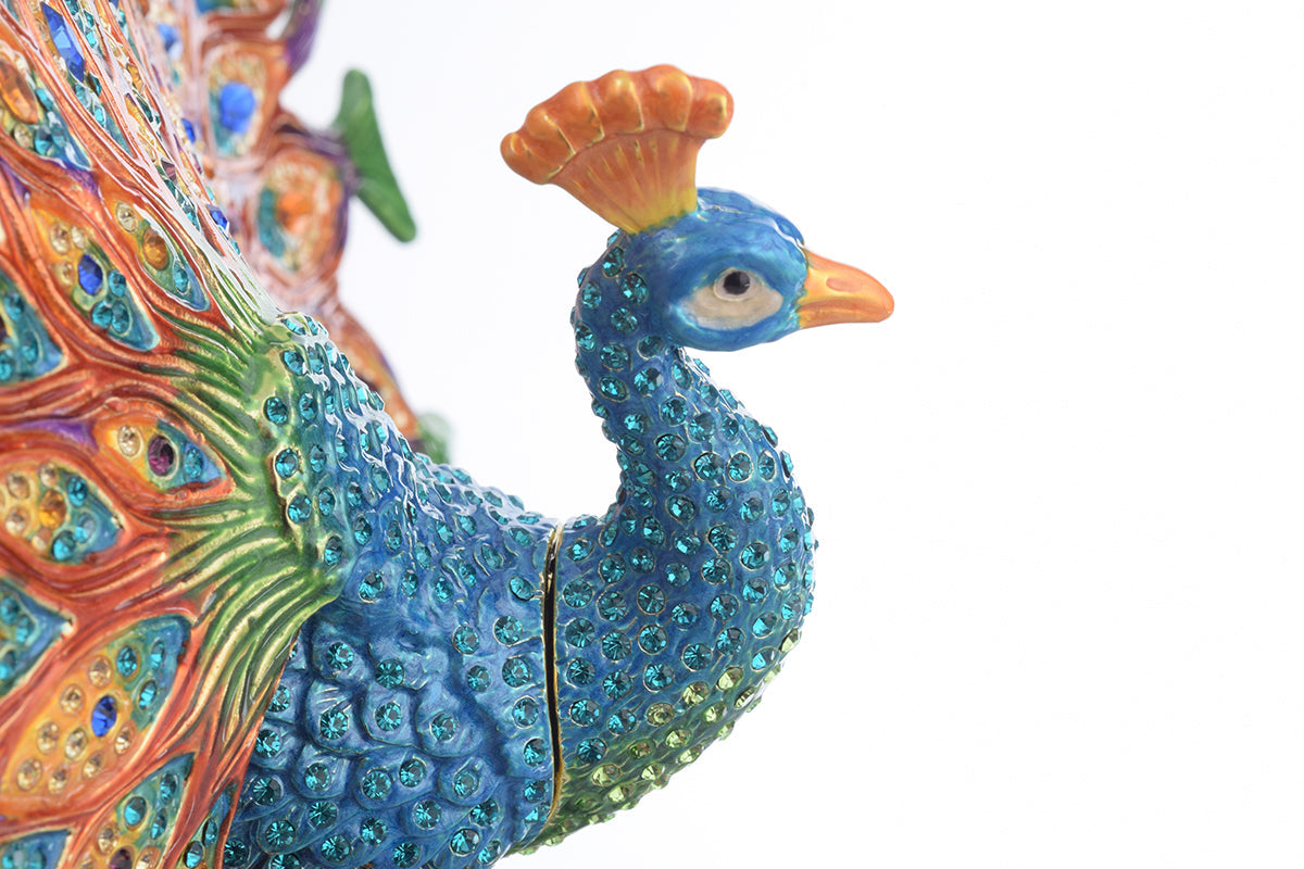 Colorful Peacock-2