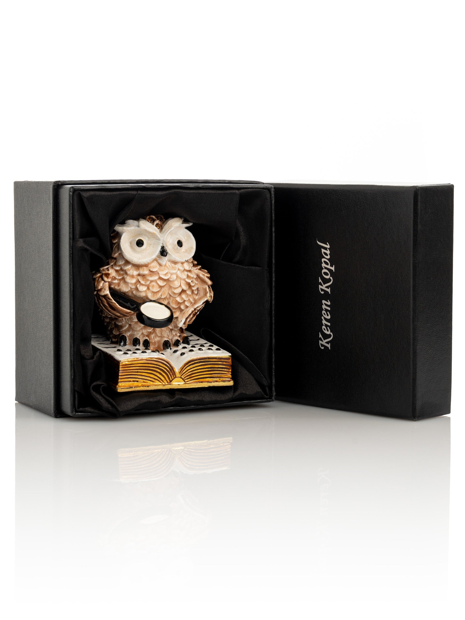 Owl Reading a Book-3