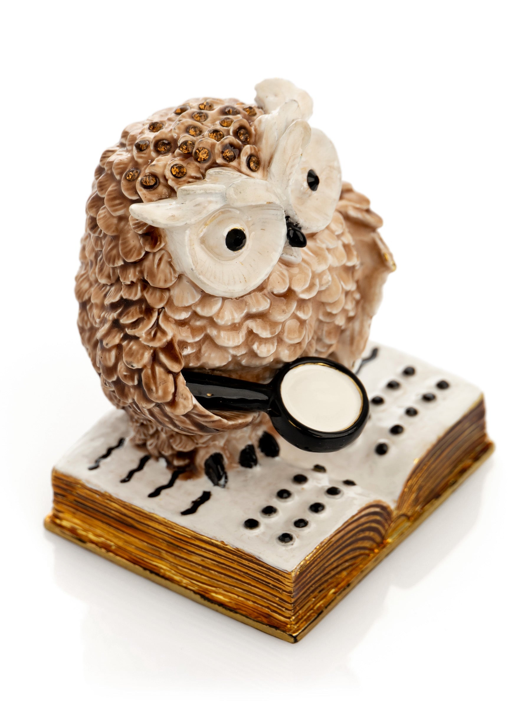 Owl Reading a Book-0