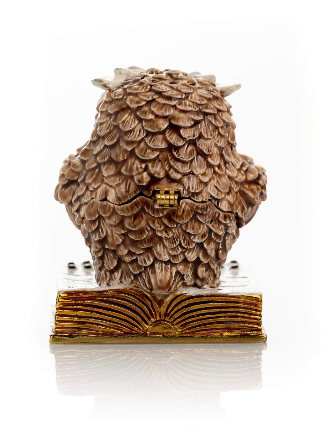 Owl Reading a Book-2
