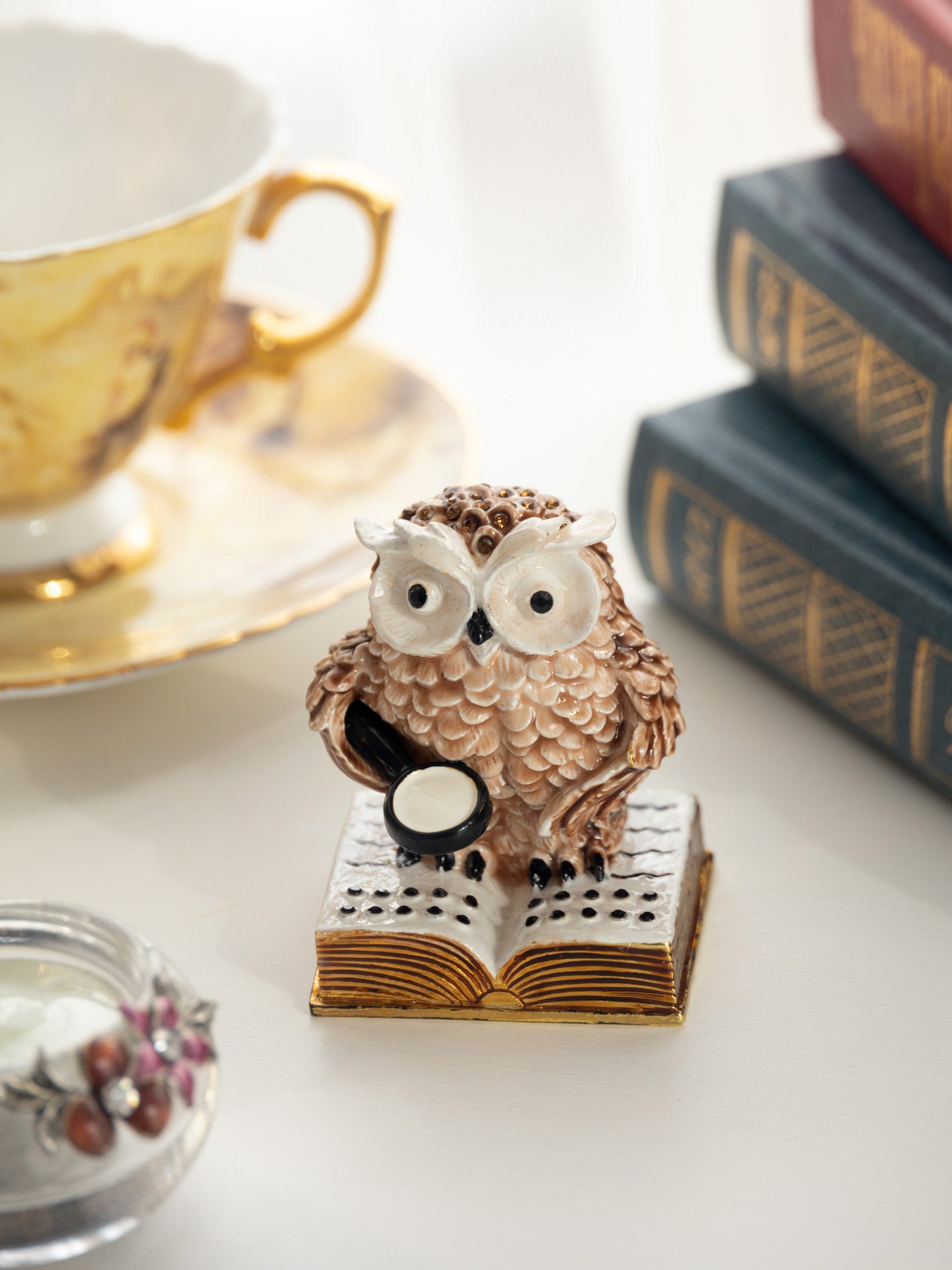 Owl Reading a Book-4