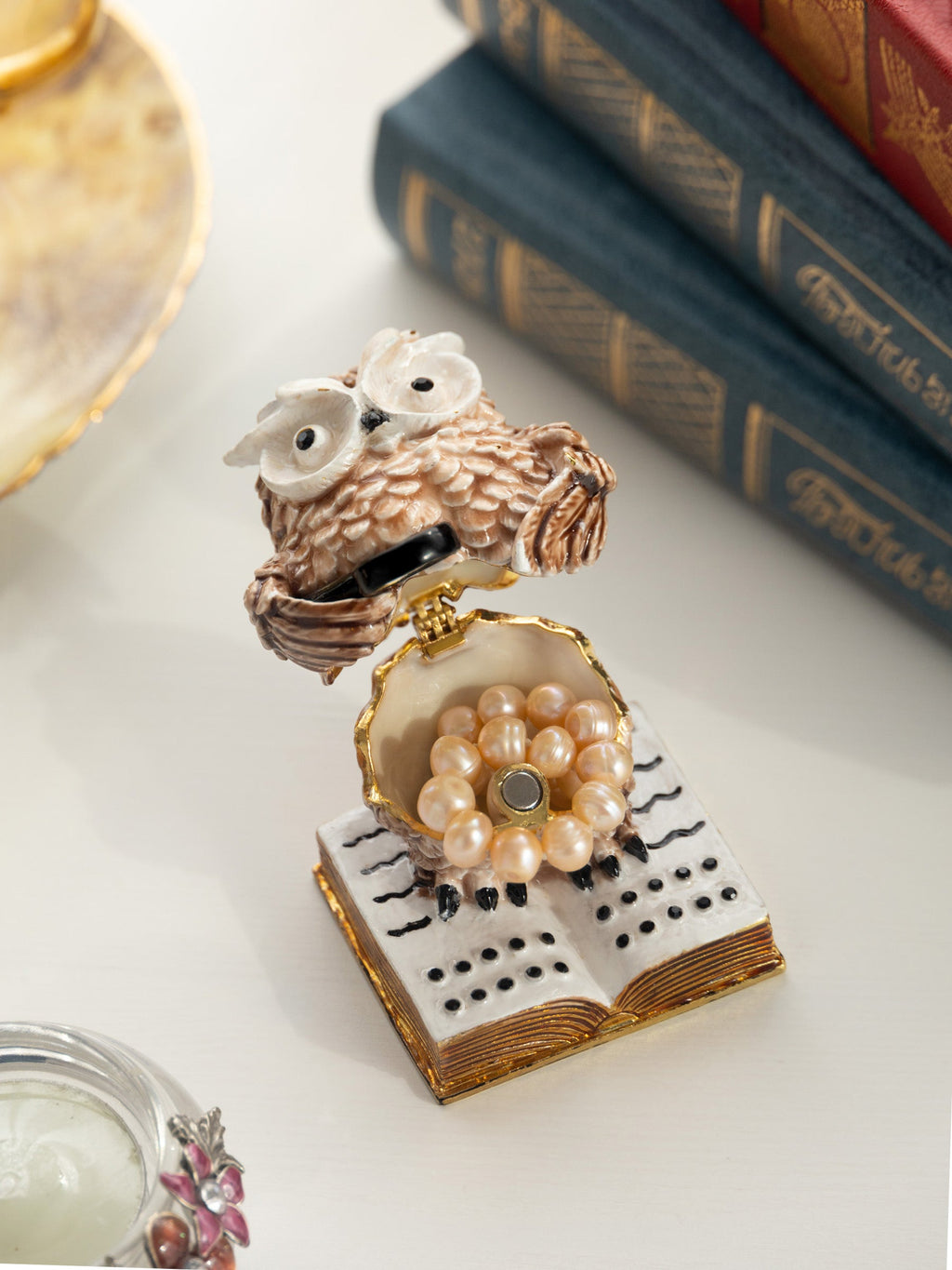 Owl Reading a Book-1