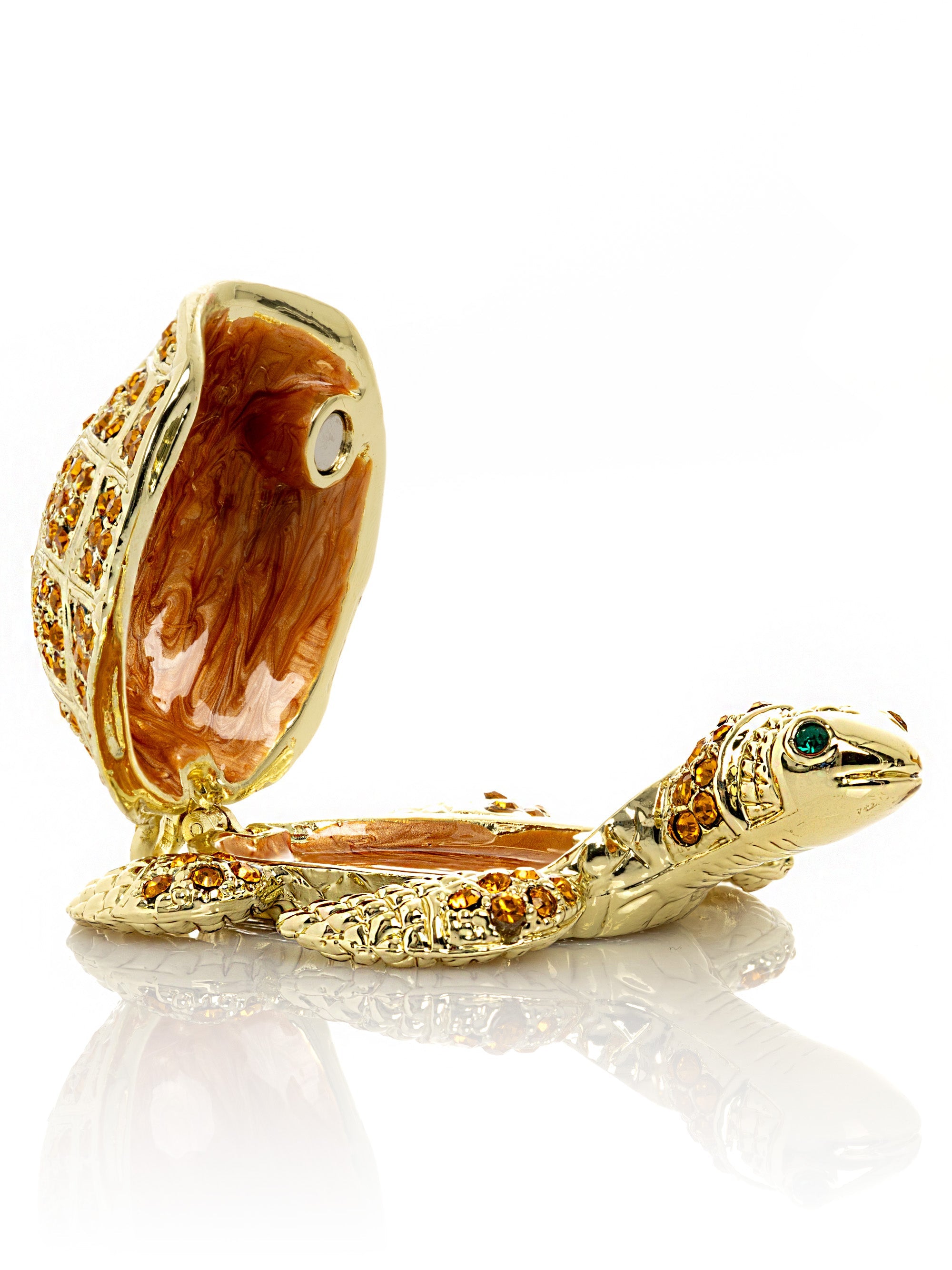 Golden Turtle-1