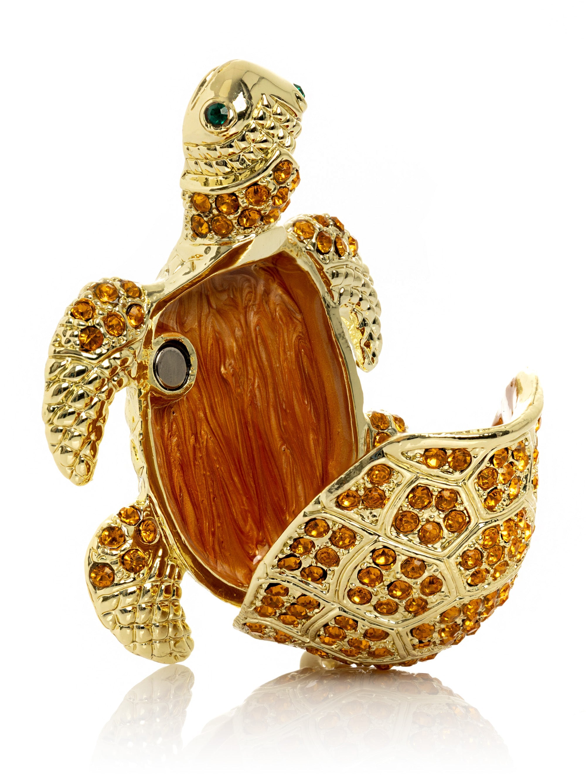 Golden Turtle-2