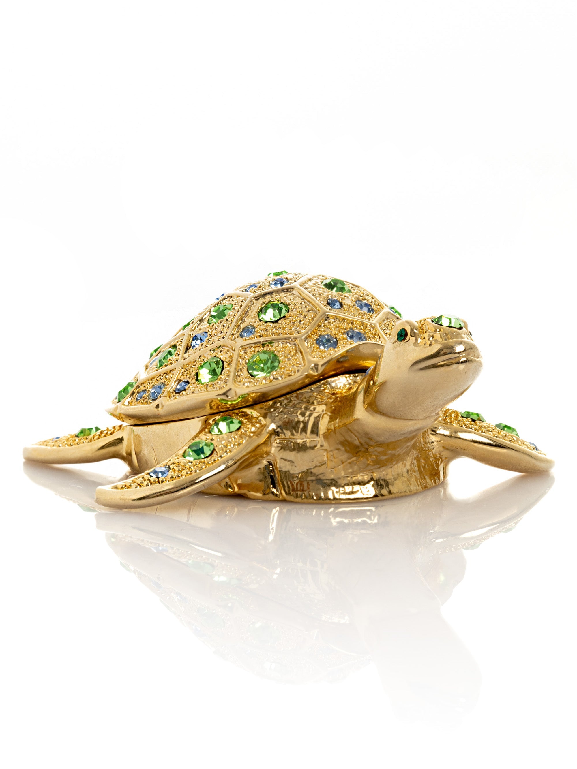 Golden Turtle-3