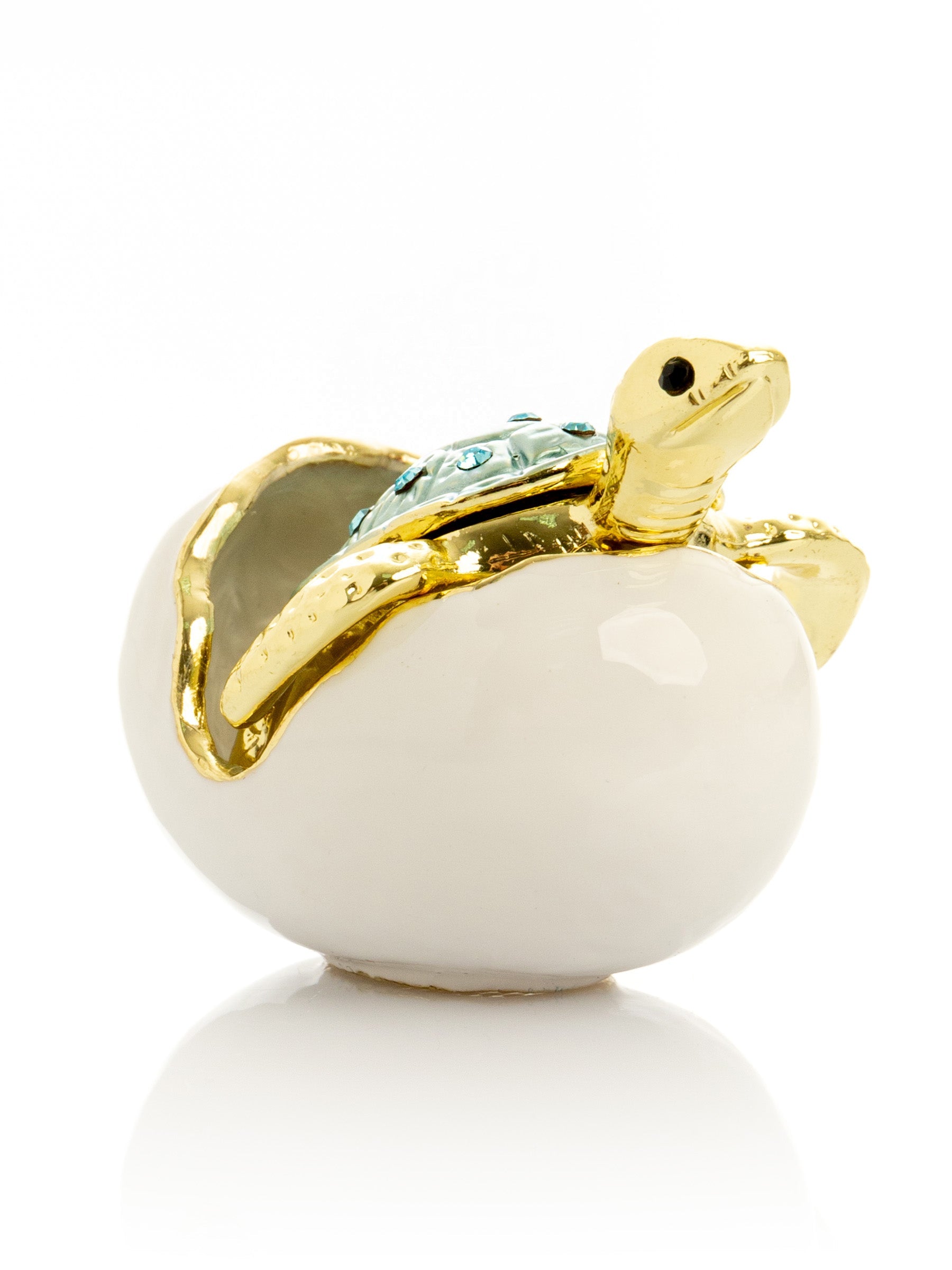 Turtle hatching from an egg-4