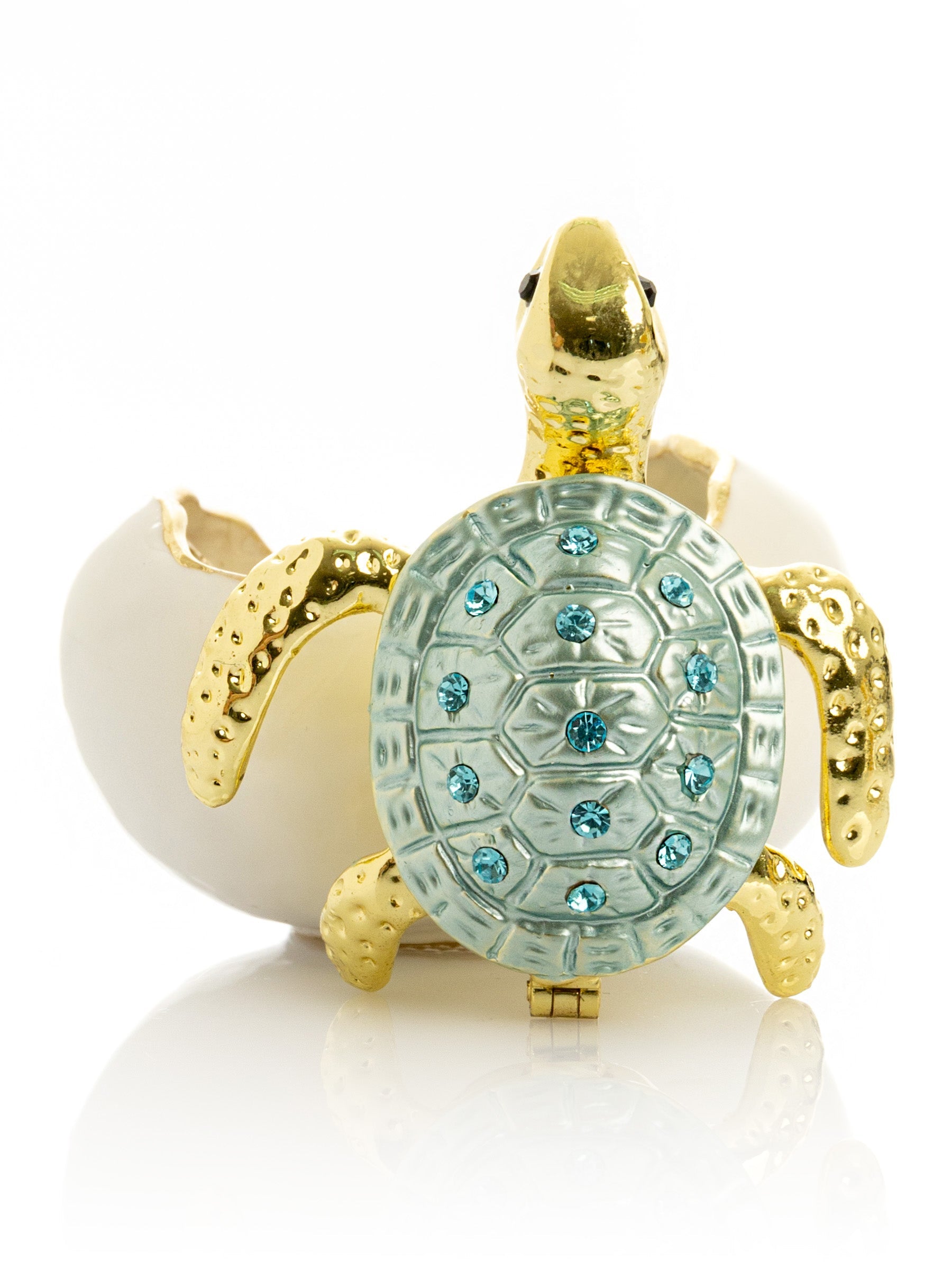 Turtle hatching from an egg-1