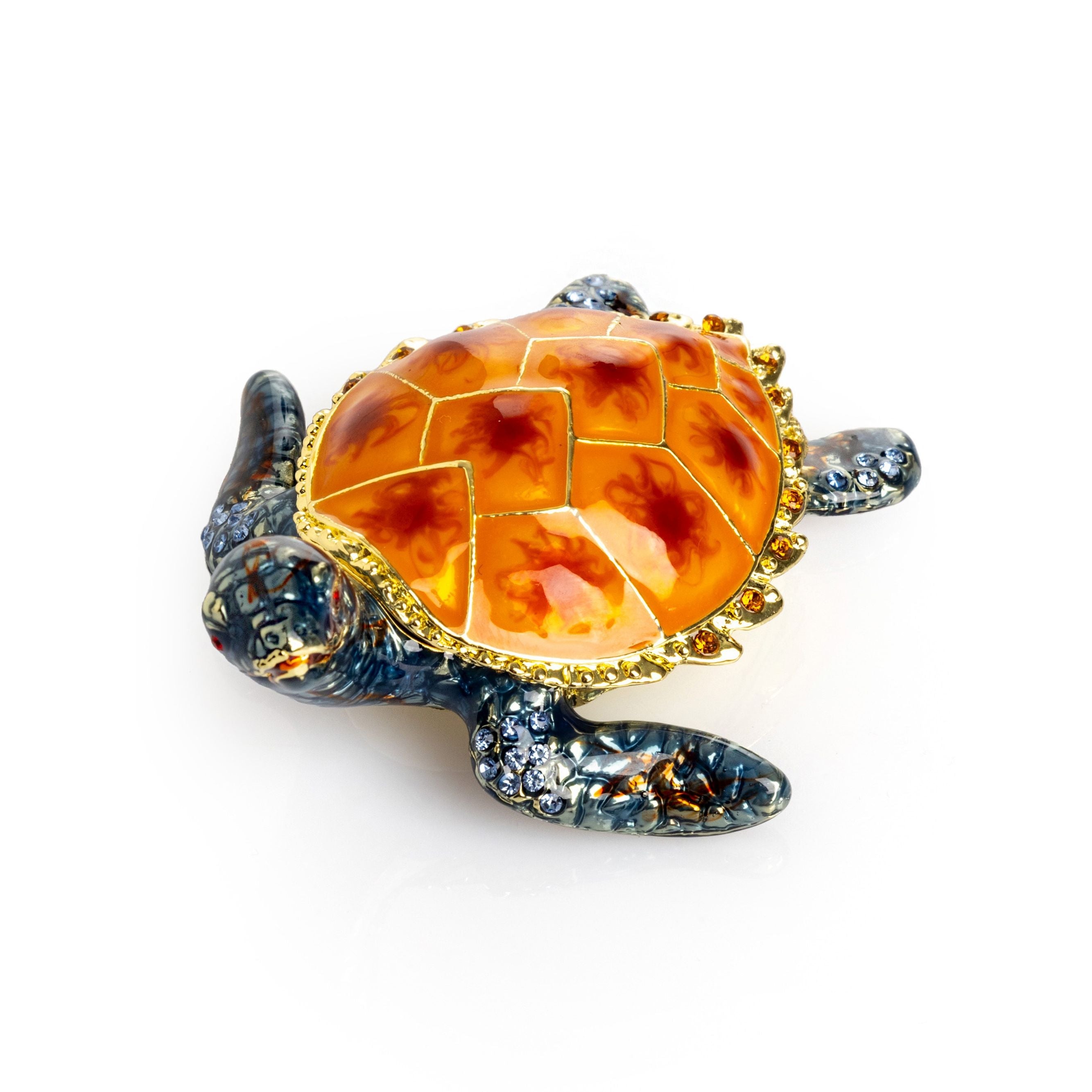 Sea Turtle-0